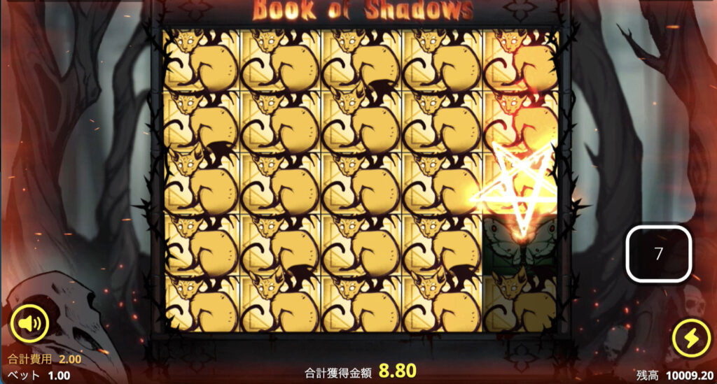 Book of Shadows(ブックオブシャドウズ)